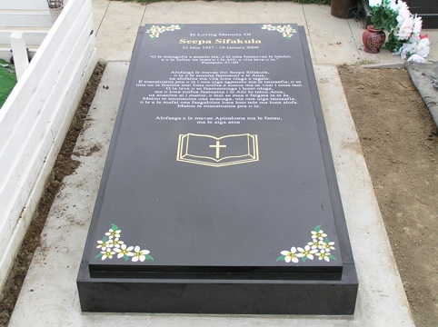 WS GRAVE COVER.jpg